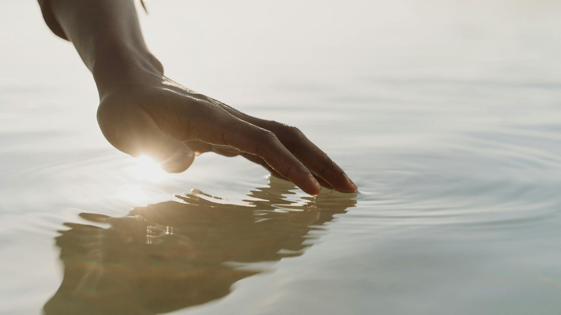 A woman in her 40s in a calm, natural setting representing the perimenopause transition — Herbs That Heal
