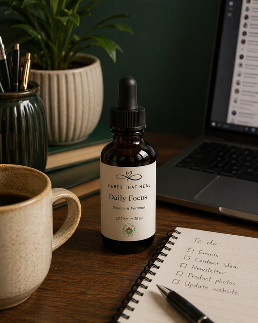 Daily Focus Botanical Formula 30 mL Tincture | 1:2 Ratio